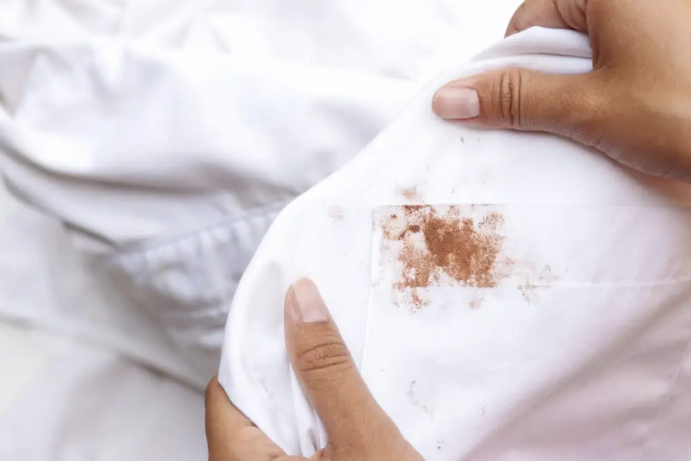 Introduction to Blood Stains on Comforters