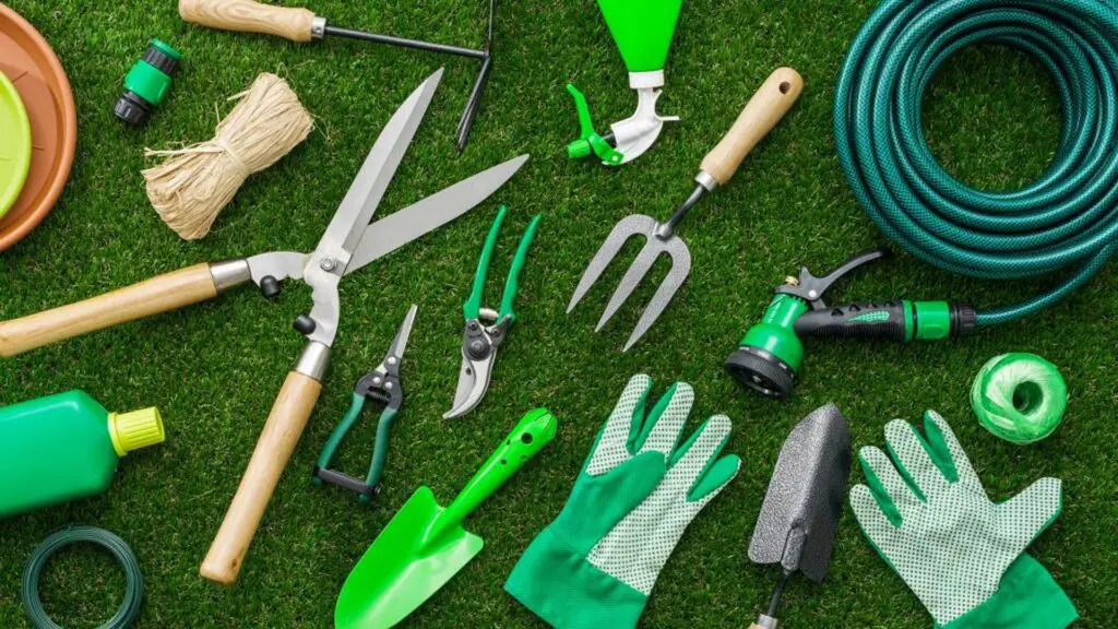 Best Gardening Tools for Seniors