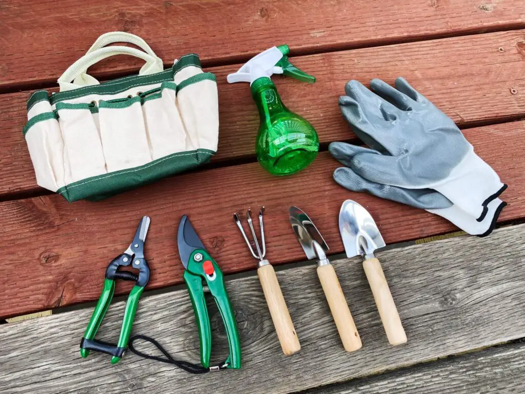 Best Tools for Balcony Gardening