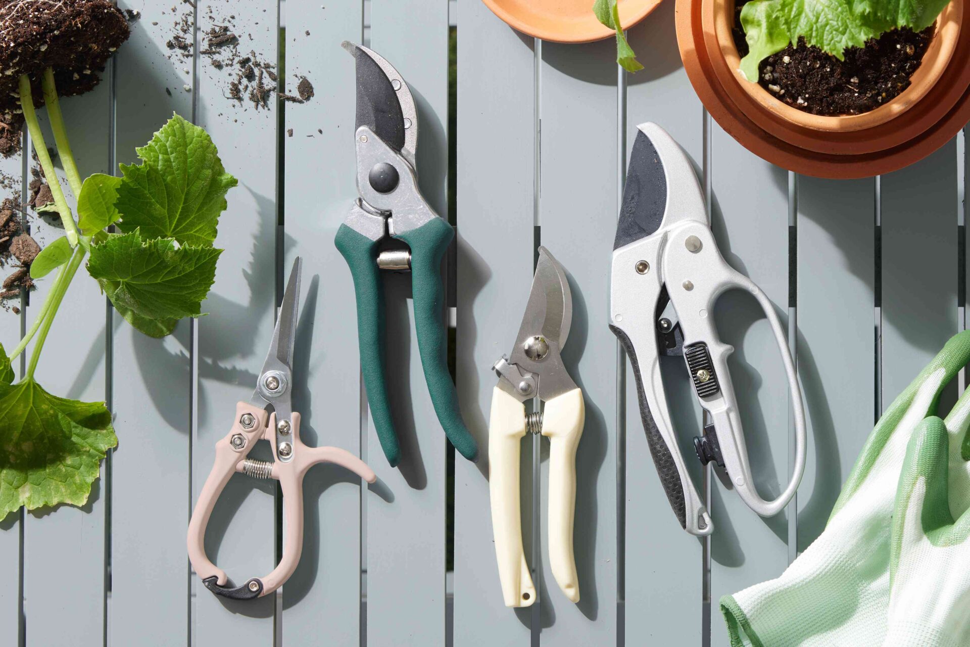 Best Hand Tools for Gardening