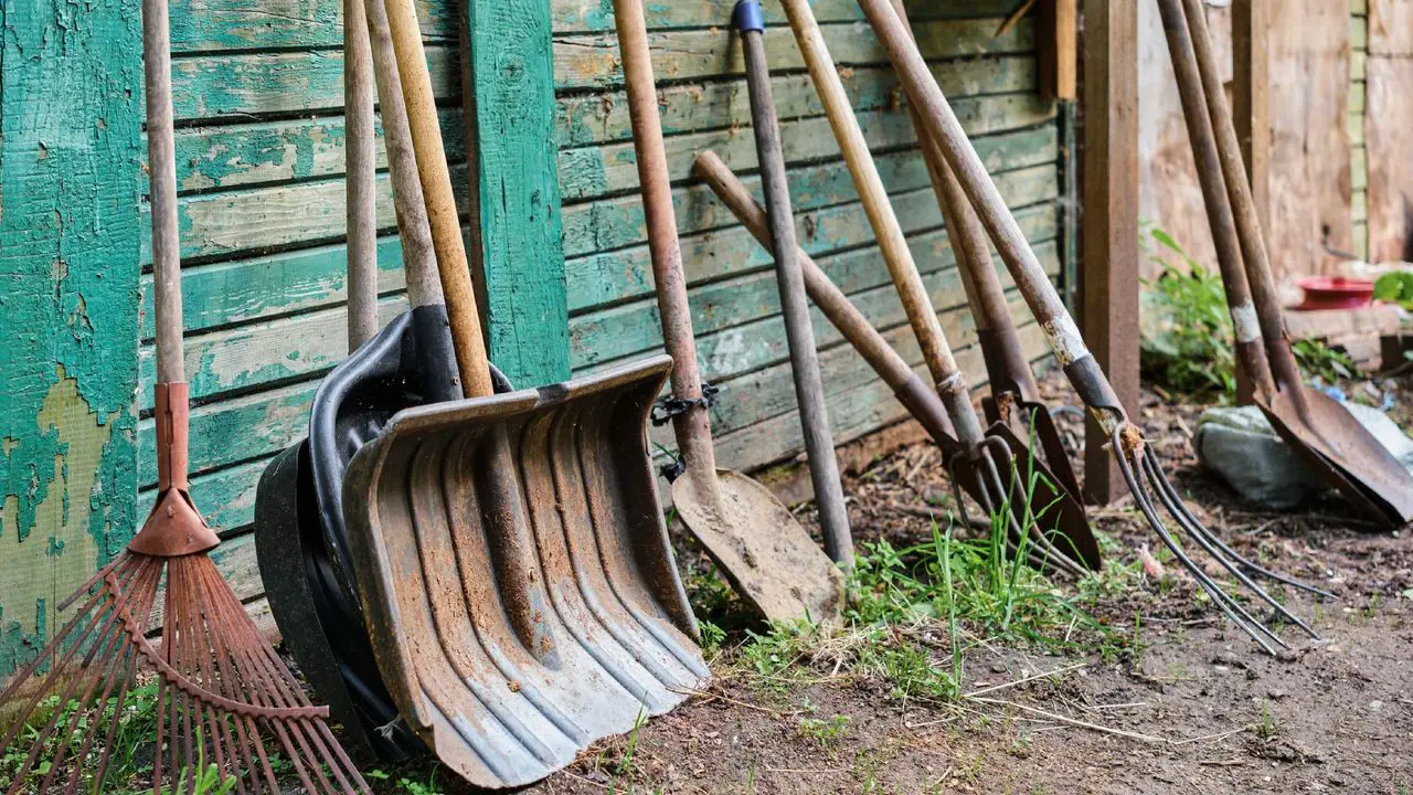 Best Gardening Tools for Vegetable Garden