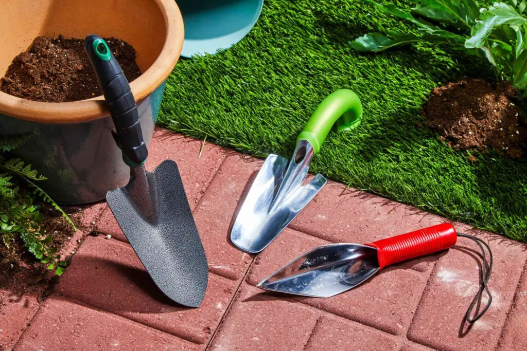 Best Tools for Raised Bed Gardening