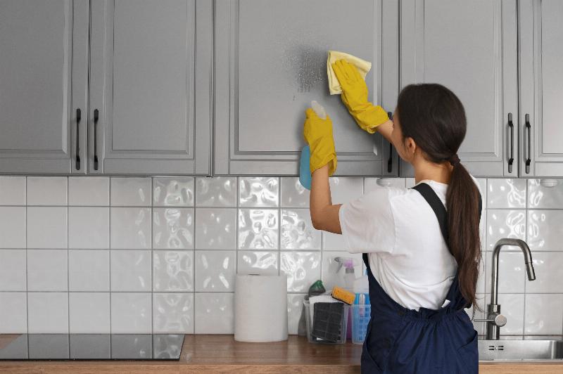 Best Degreaser for Kitchen Cabinetsv