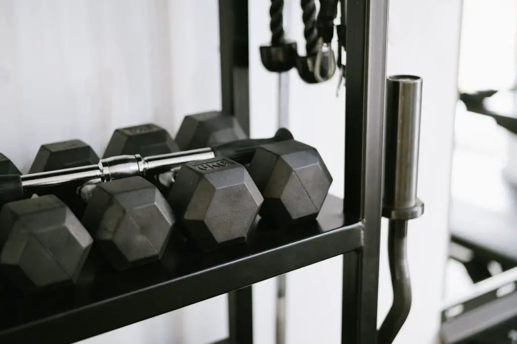 Best Dumbbell Set for Home Gym