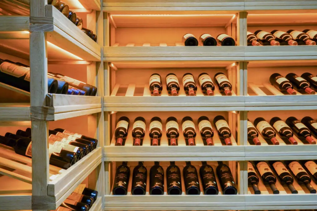 Best Wine Fridge for Larger Bottles