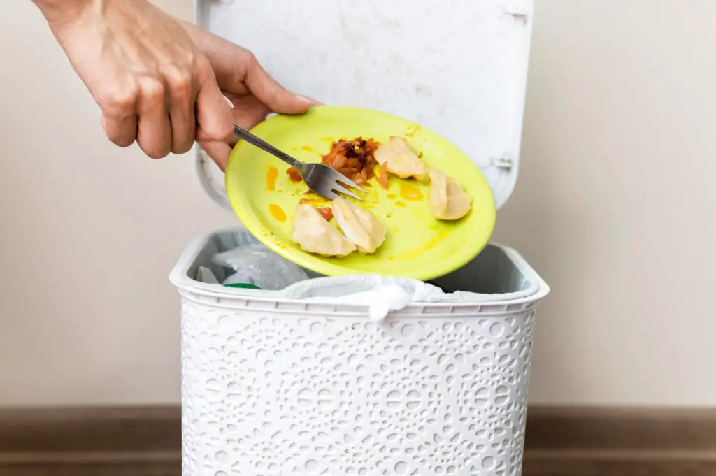 Best Compost Bin for Kitchen