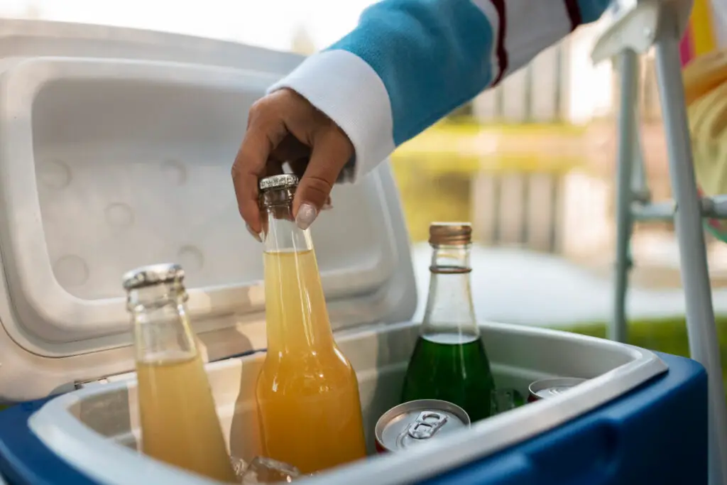 Best Portable Fridge for Car