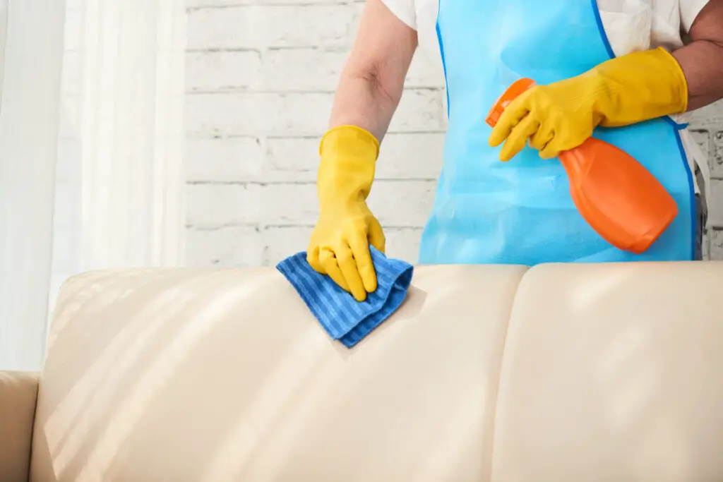 Best Cleaner for Microfiber Sofa