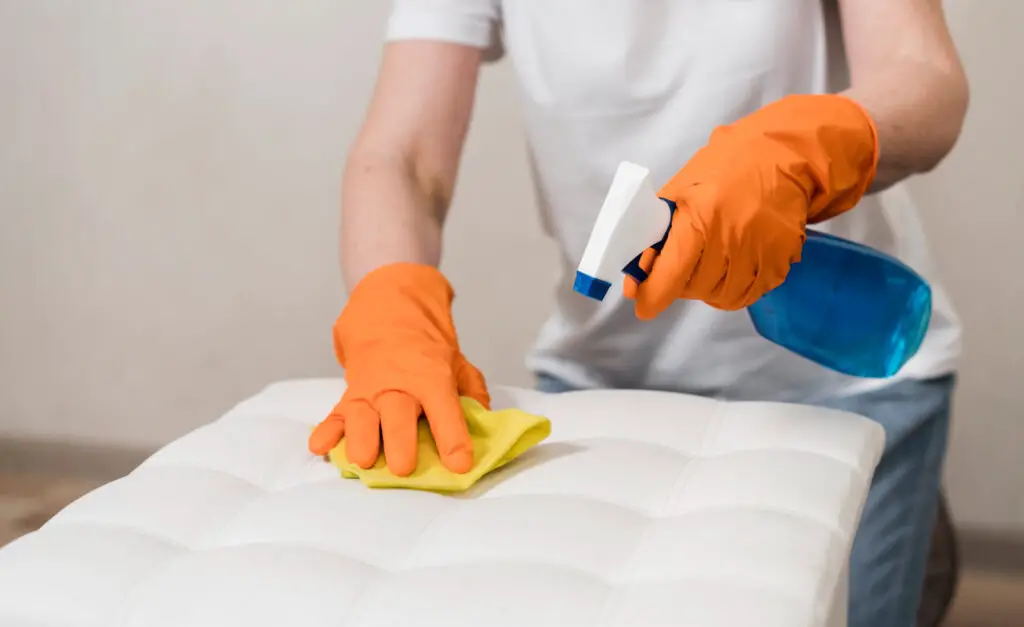 Best Polish for Leather Sofa