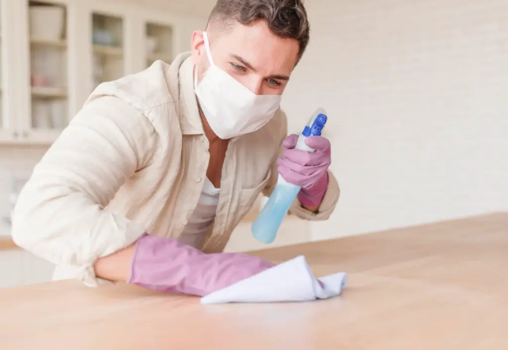 Best Ant Deterrent for Kitchen