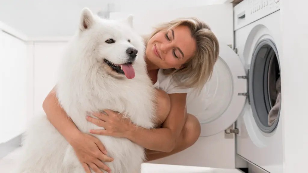 Best Washing Machine for Pet Hair