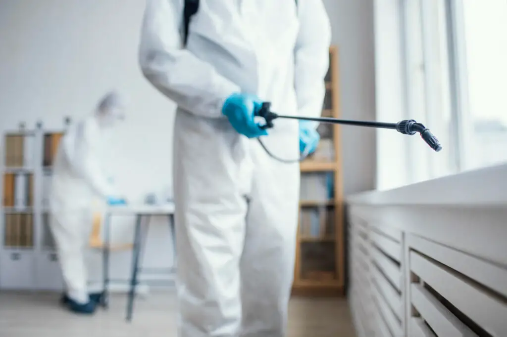 Best Insect Killer for Kitchen