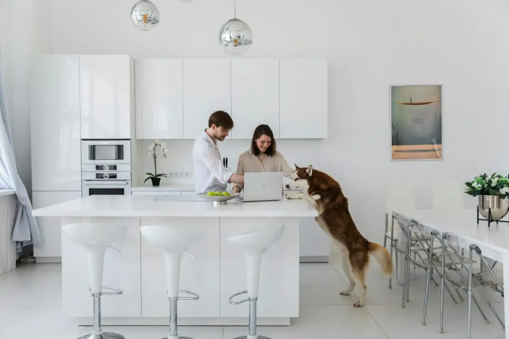 how to decorate a white kitchen