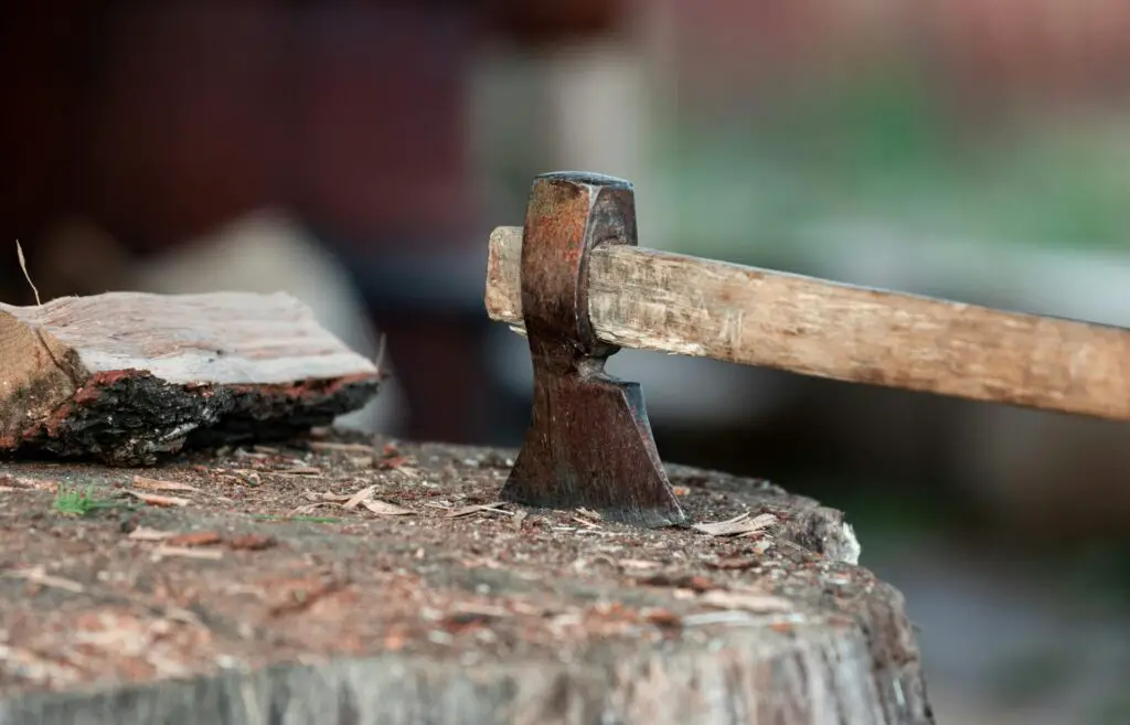 Close-up of an axe stuck in a tree stump with firewood beside it.
