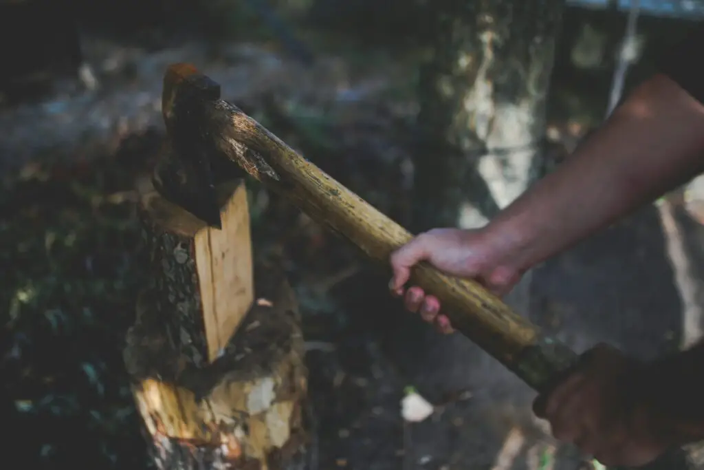 Action shot of a hand chopping wood with an axe in a forest setting.