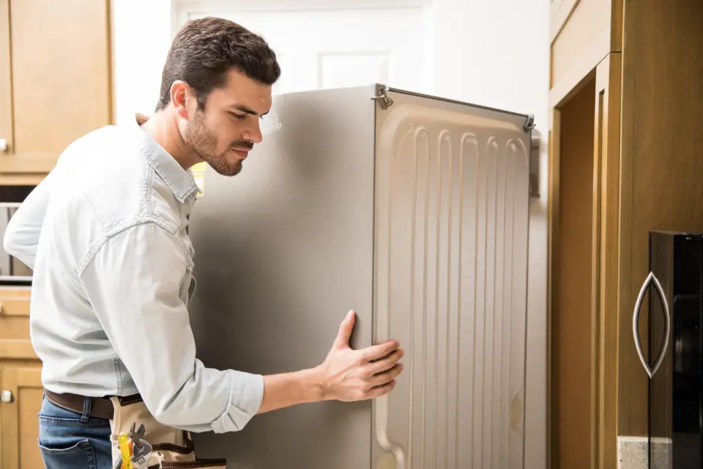 Best Fridge for Garage