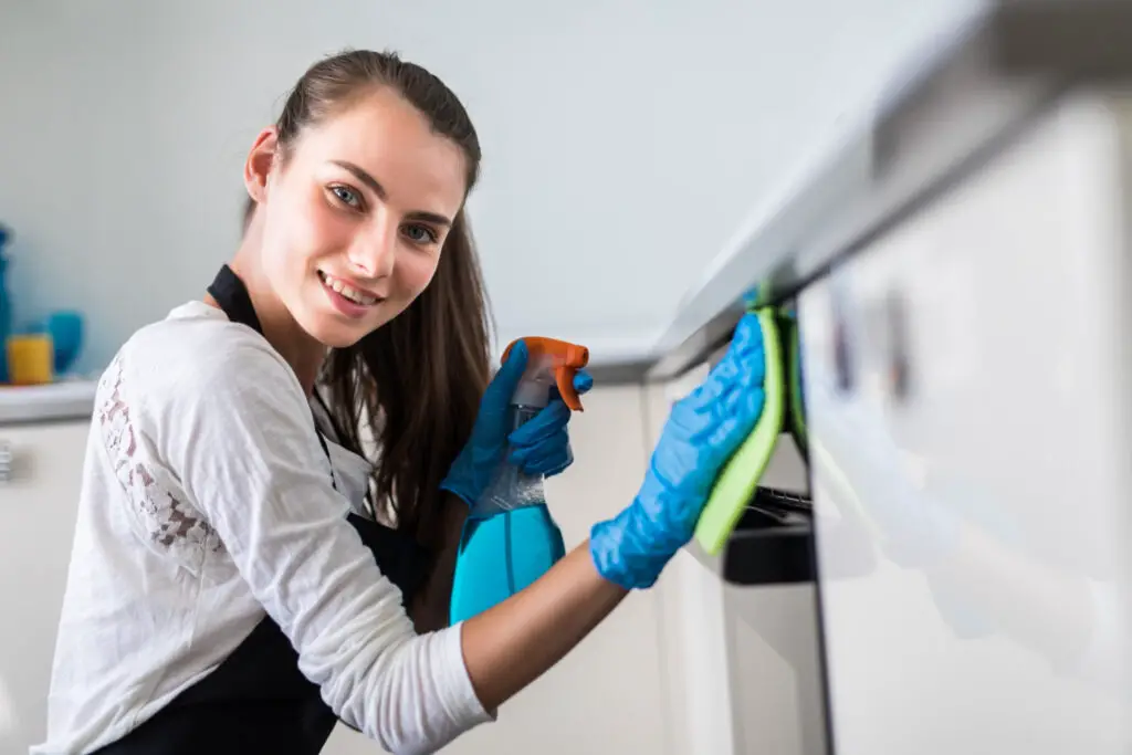 Best Cleaner for Stainless Fridge
