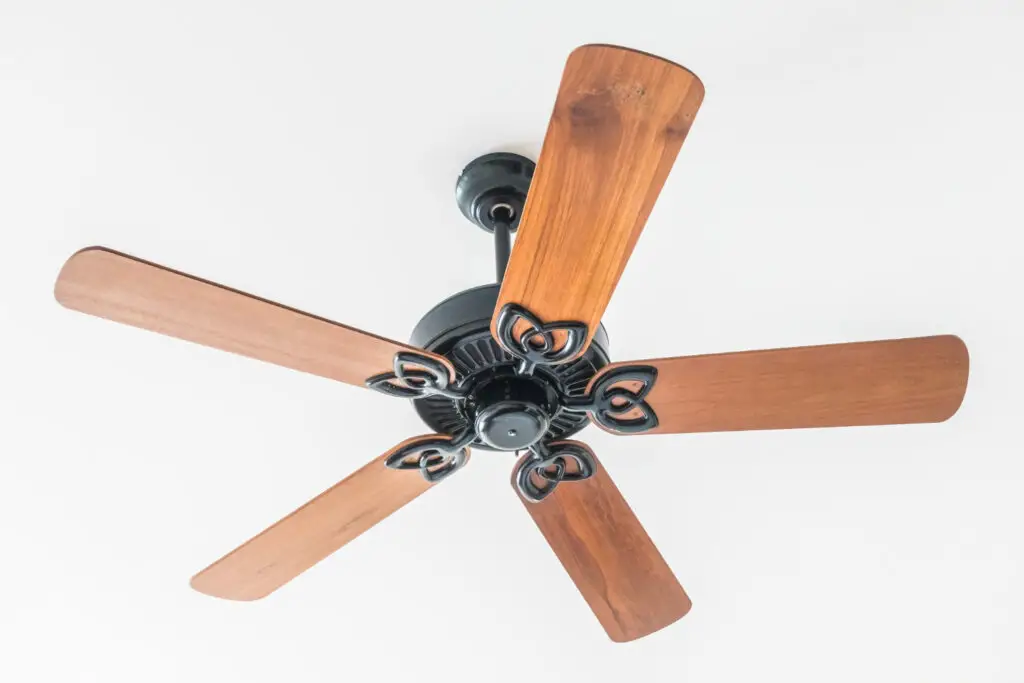 Best Ceiling Fans for Cooling