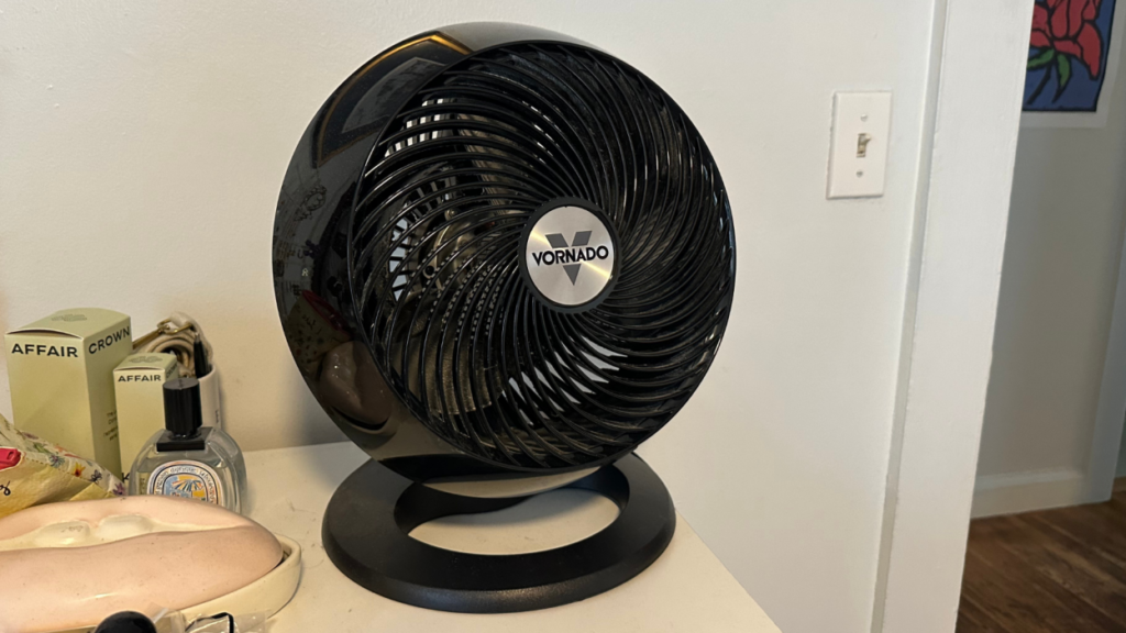 Best Vornado Fan